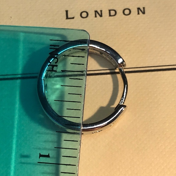 🌟 Platinum Plated Hoop Earrings - Picture 5 of 5